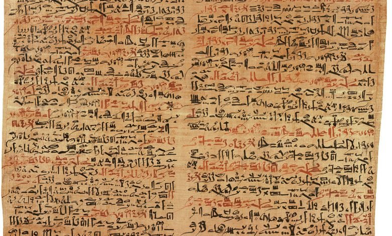 علم البرديات.. عين على تاريخ مصر.