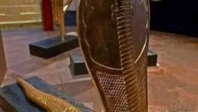 الكوبرا المصرية.. رمز القوة والنفوذ والسيادة