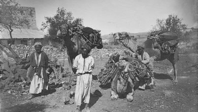 تعرف على أكبر القبائل الإفريقية.. ساهموا في نشر الإسلام