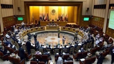 مصر تدعو لاجتماع عربي طارئ لبحث التطورات في أوكرانيا.. وخبراء يؤكدون: "خطوة سياسية هامة للمصالح العربية"