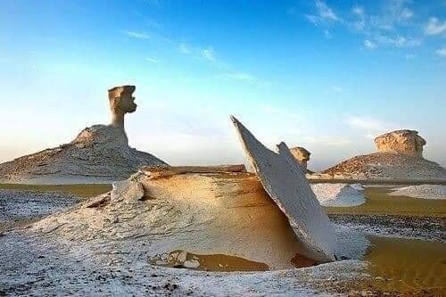 الصحراء البيضاء.. متحف بيئي نادر في الوادي الجديد