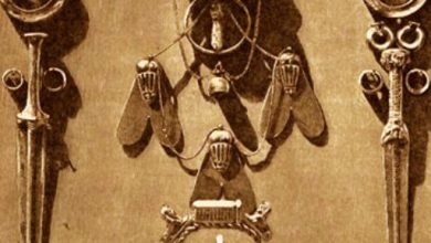"الذبابه الذهبية".. من حشرة مزعجة لوسام على صدر عظماء العسكريين في مصر القديمة