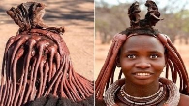 «النساء الحمراوات».. قبيلة في ناميبيا تستخدم الطين لتسريحات الشعر