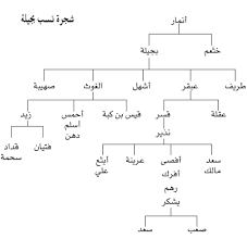 تعرف على قبيلة بَجيلة... فروعها وانسابها 