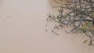 الآبار والسدود في مطروح لتحسين الزراعة وإنقاذها عند البدو