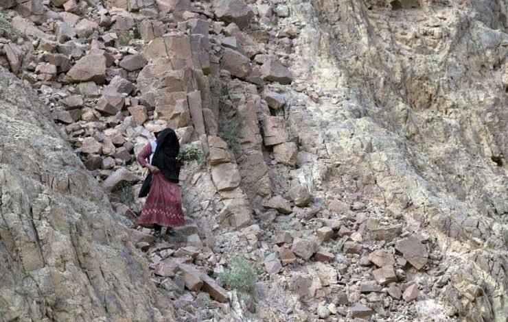 نساء قبيلة "حمادة" تكشفن لـ "صوت القبائل" أسرار عملهن كمرشدات للدروب الجبلية