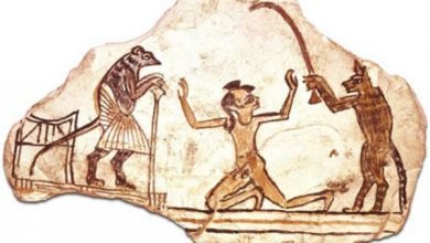 الكاريكاتير في مصر القديمة| الفأر يحكم المدينة والقط يعمل في خدمته