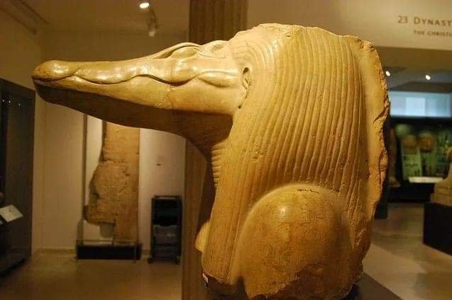 باحثة في التاريخ تكشف عن أسرار الحيوانات المقدسة في مصر القديمة