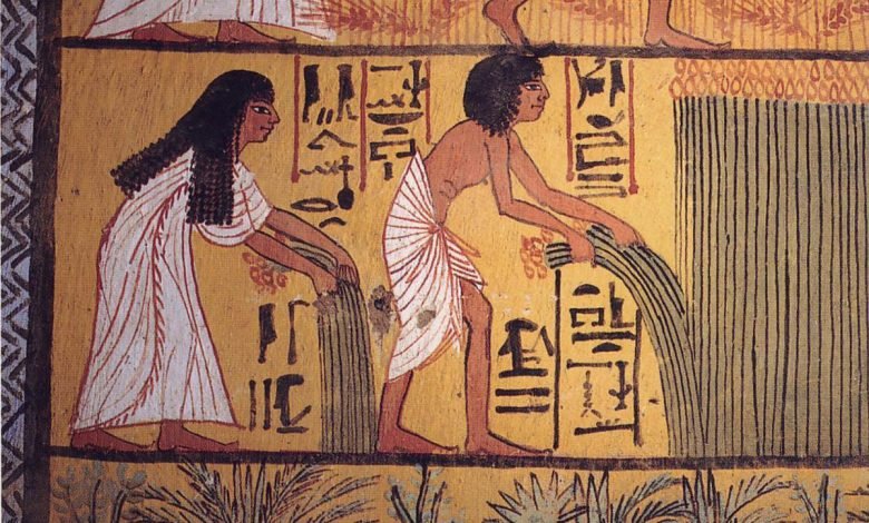عادات الحصاد في الحضارة المصرية القديمة.. أهمها "عروسة القمح"
