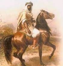 ننشر السيرته العطره لسلطان العارفين سيدي منصور الباز الاشهب البطائحى