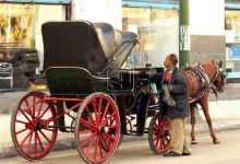 الحنطور المصري  رمز النقل الشعبي وتراث الشوارع