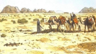 بيوت الثلج.. طريقة العرب لمواجهة ارتفاع الحرارة في عصور ما قبل الميلاد