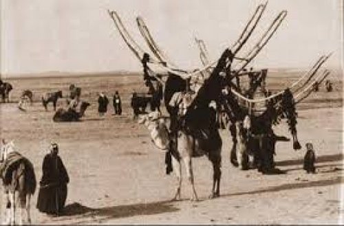 قبيلة بنو كلاب.. أشهر القبائل في العصر الجاهلي والإسلامي