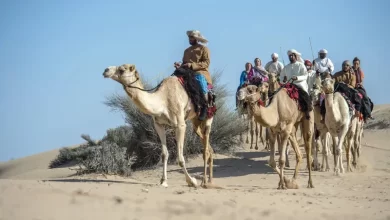 قبيلة آل الفضل.. رواد البادية الشامية