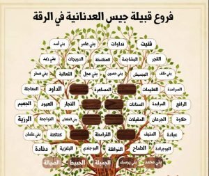 تفاصيل نسب قبيلة جيس العدنانية العربية.. تنتشر في 5 دول