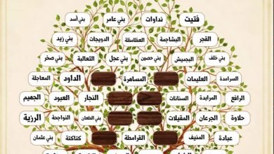 تفاصيل نسب قبيلة جيس العدنانية العربية.. تنتشر في 5 دول