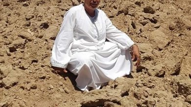 نقيب الفلاحين : يوجه نقباء الفلاحين في المحافظات بزيارة مشروع الصوب الزراعية بقاعدة محمد نجيب ردا علي المشككين