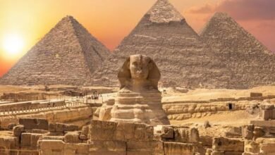 "الأفروسنتريك".. منظمة إفريقية تستهدف سرقة الحضارة المصرية القديمة