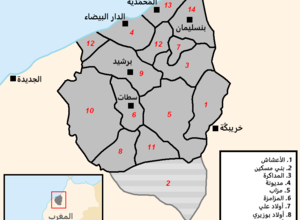 بنو زيان تاريخها واصولها