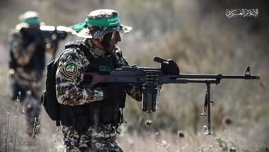 إدارة بايدن والولاية الأمريكية الواحدة والخمسون بقلم د. حسن أحمد حسن