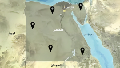 القبائل العربية المهاجرة إلى مصر: تاريخها وعاداتها وتوزيعها