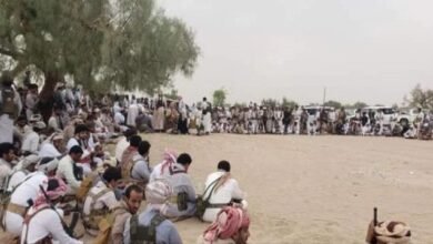 قبائل الخامري: قبيلة عربية أصيلة تنحدر من قحطان
