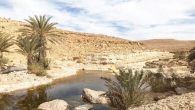 جبال وسط سيناء