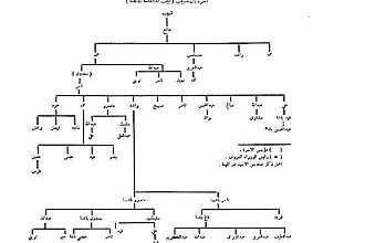 بالتفاصيل علاقة آل سعدون العراق بالهاشميين