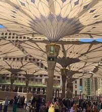 محمد بن حاطب عن