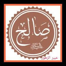 صالح عليه السلام..رسالة الرشاد وإعادة البناء