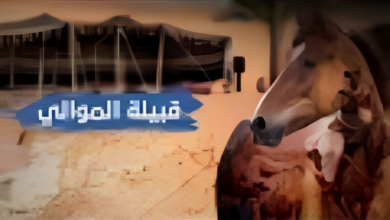 قبيلة الموالي: شاهدة على تاريخ سوريا
