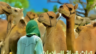 السلامات: قبيلة عربية مهاجرة