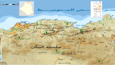 توزيع جغرافي للقبائل العربية..إليك التفاصيل