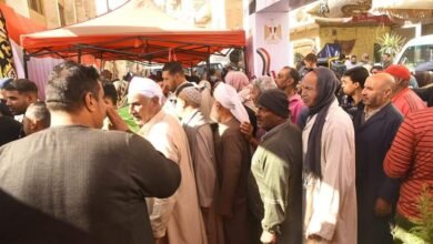 الأعلى للقبائل العربية: نسبة المشاركة في مراكز جنوب محافظة الجيزة تخطت الـ 50% حتى ظهر اليوم الثالث
