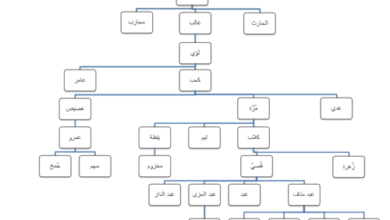 عائلة قرشي : تاريخ عريق وحضور سياسي مؤثر
