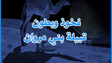 بنو مروان: قبيلة عربية عريقة ومجيدة بين الماضي والحاضر