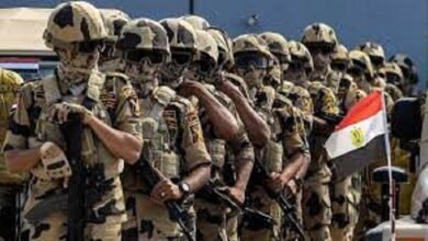بعد مرور أكثر من 100 يوم حرب.. مصر و4 دول عربية تدعو لإقامة دولة فلسطينية مستقلة
