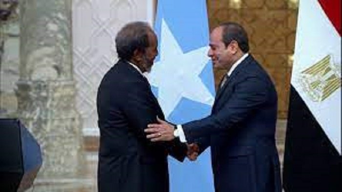 السيسي يؤكد دعم مصر للصومال.. برلماني: مصر لديها دور محوري في القارة الأفريقية