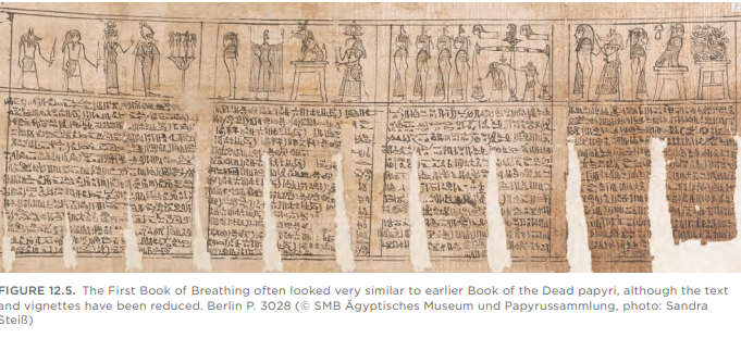 بردية نادرة تكشف أسرار كتاب الموتى في مقبرة مصرية قديمة