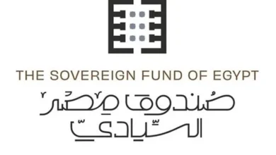 صندوق مصر السيادي.. يطرح مشاريع ضخمة لجذب المليارات وينشئ صناديق فرعية في قطاعات حيوية