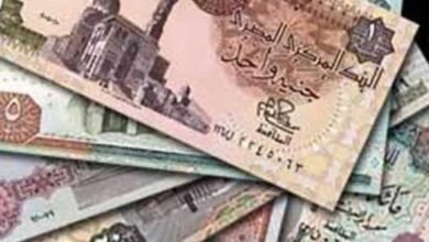 الجنيه الإلكتروني.. كيف سيغير وجه التداول في مصر؟