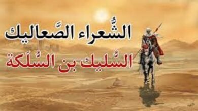 السليك بن السلكة: شاعر الصعاليك الذي أبهر العرب بشجاعته وفصاحته