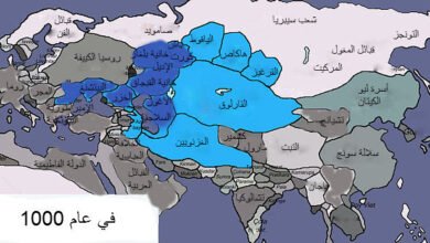 اسباب ازدهار الدولة الغزنوية فى عهد يمين الدولة
