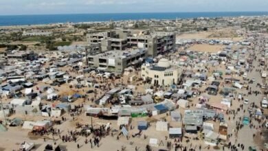 القاهرة تجدد العهد: دعم لا يكل لفلسطين ورؤية ثابتة نحو حل الدولتين