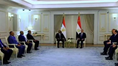 مصر تسخر كل طاقاتها لحل أزمة السودان.. وأبو الغيط يدعو لوقف الدماء في رمضان