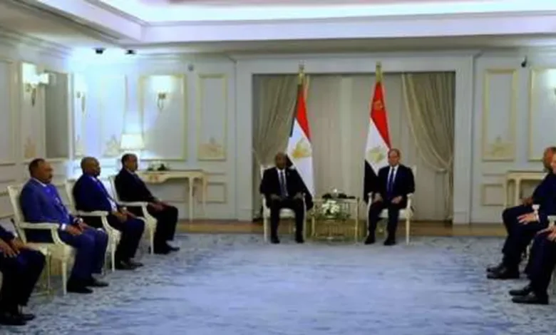 مصر تسخر كل طاقاتها لحل أزمة السودان.. وأبو الغيط يدعو لوقف الدماء في رمضان