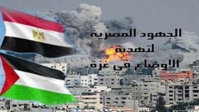 مصر والتحرك الدولي لإنهاء المأساة في غزة: دعوات للسلام والاستقرار في ظل الأزمة الإنسانية