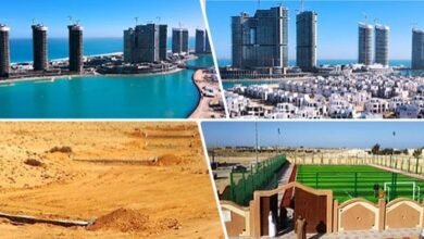 مشروع القرن: تحويل صحراء مصر إلى واحة الحياة والطاقة المستدامة
