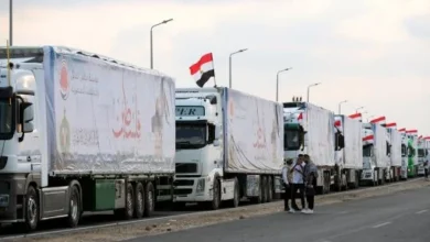 دبلوماسية مصر: صانعة للسلام ومحرك للإنسانية في قطاع غزة