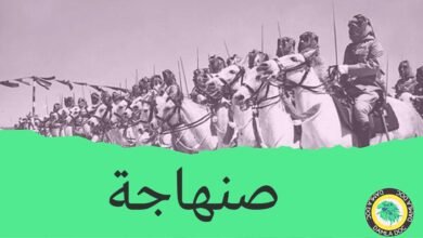 إرث صنهاجة: عمالقة الأمازيغ الذين شكلوا تاريخ شمال أفريقيا